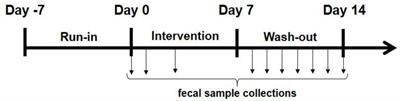 Quantitative Recovery of Viable Lactobacillus paracasei CNCM I-1572 (L. casei DG®) After Gastrointestinal Passage in Healthy Adults